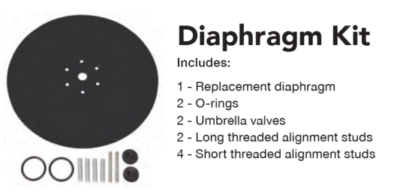 diaphragm rebuild kit