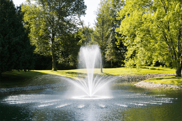 airmax pondseries fountain 2hp crown trumpet day