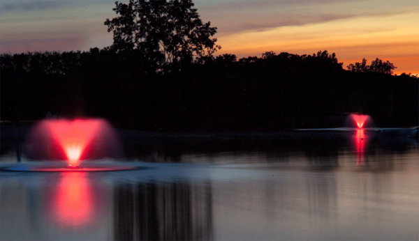 color changing light set pink